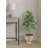 Privette Urn Planter