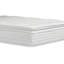 Camellia 15'' Plush Pillow Top-58173847