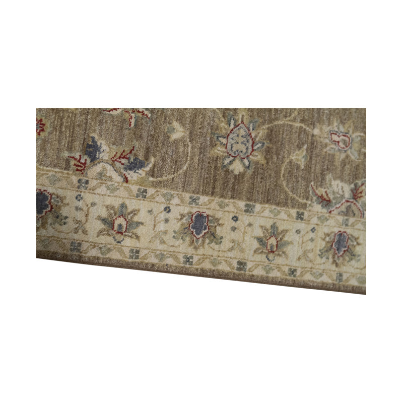 Oriental Area Rug in Brown