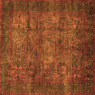 Oriental Indoor Rug