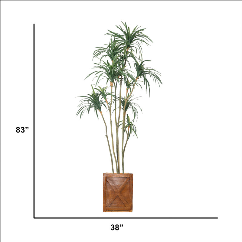 83'' Faux Dragon Tree Tree in Pot