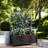 Vertical Planters, Galvanized Steel Modern Trellis Bed For Patio Home