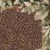 Alminus Jungle Safari Emerald Animal Print Area Rug