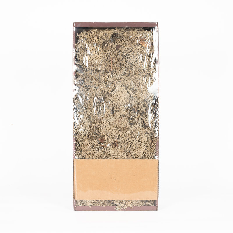 Natural Grey Moss In Bulk
