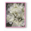 FOR FOR ROSES, reproduction encadrée - bois massif-687196675-687196686