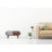 Chestnut Circular Media Unit