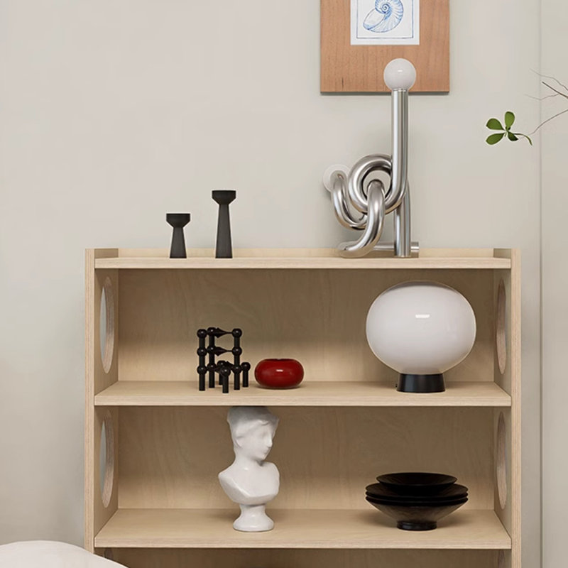 Creative and stylish bookcase, Burlywood