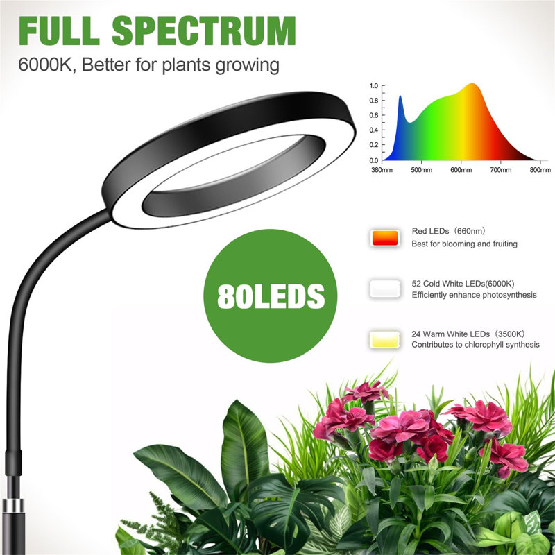 Naomi Grow Light