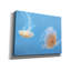  «Jellyfish Dance 2» par Lori Deiter, art mural sur toile, 34 po x 26 po