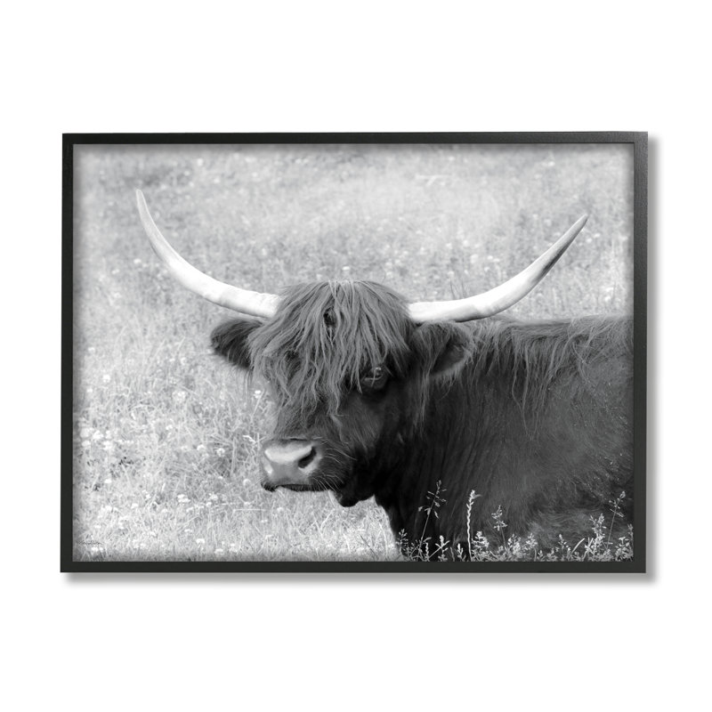 Portrait de ferme bovin Highland - photographie, H 16 po x l 20 po x P 1,5 po, Giclée encadrée noir minuit