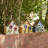 Athena 11 in x 11 in x 5 in Birdhouse-391990494