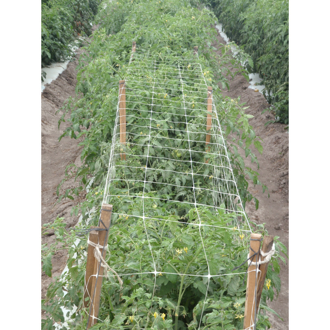 Hortonova Plant Trellis Netting Arlmont & Co.