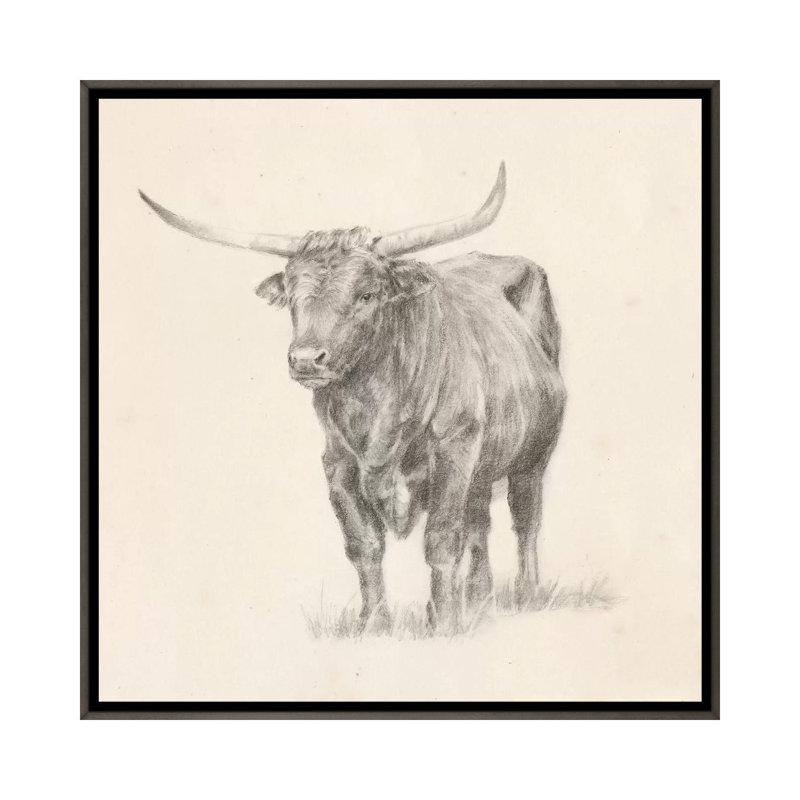 "Longhorn Steer sketch I" par Ethan Harper, reproduction d’art, H 26 po x l 26 po x P 1,5 po, Toile avec cadre gris foncé