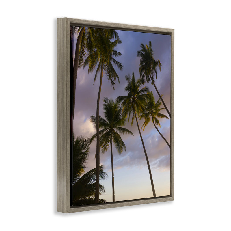 Cadre flottant Bohol Island Palms, design par Danita Delimont, H 31 po x l 25 po, Cadre flottant orme Montalcino
