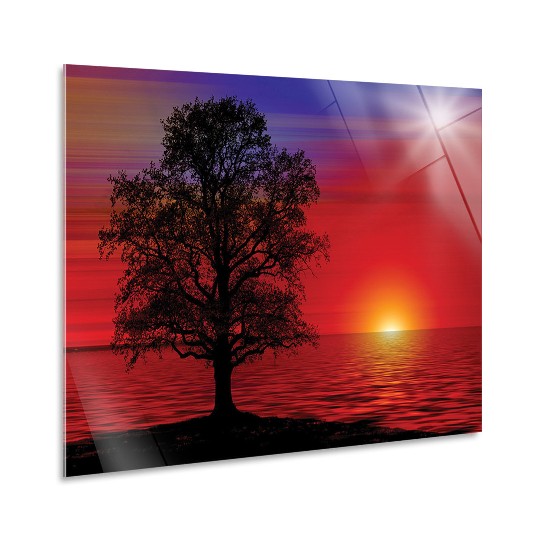 Glasbild Baum bei Sonnenuntergang von Giallobus