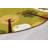Tranquil Trees Decorative Nursery Tufted Green/Tan/Brown Area Rug-50155564