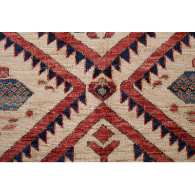 Vegetable Dye Ziegler Oriental Area Rug 6x9