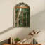 Jaliyiah Arch Wall Mirror-274247798