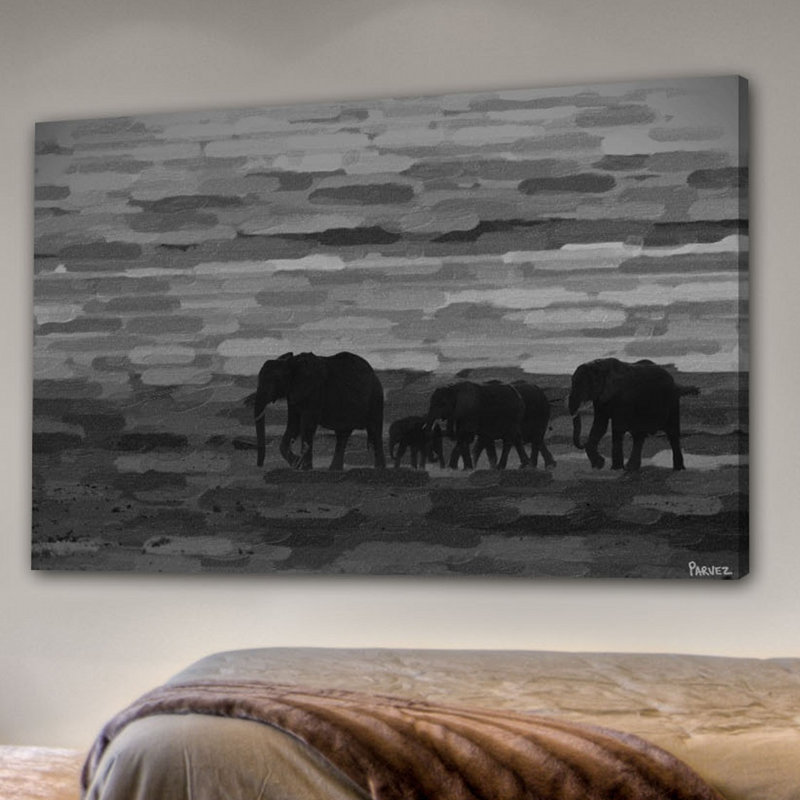 Parvez Taj - Wrapped Canvas Print, 101cm H x 152cm W x 3.8cm D