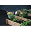 Telscombe Wood Planter Box