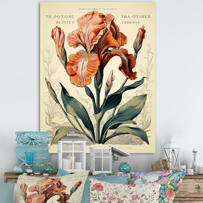 Iris rouge, illustration rétro sur toile