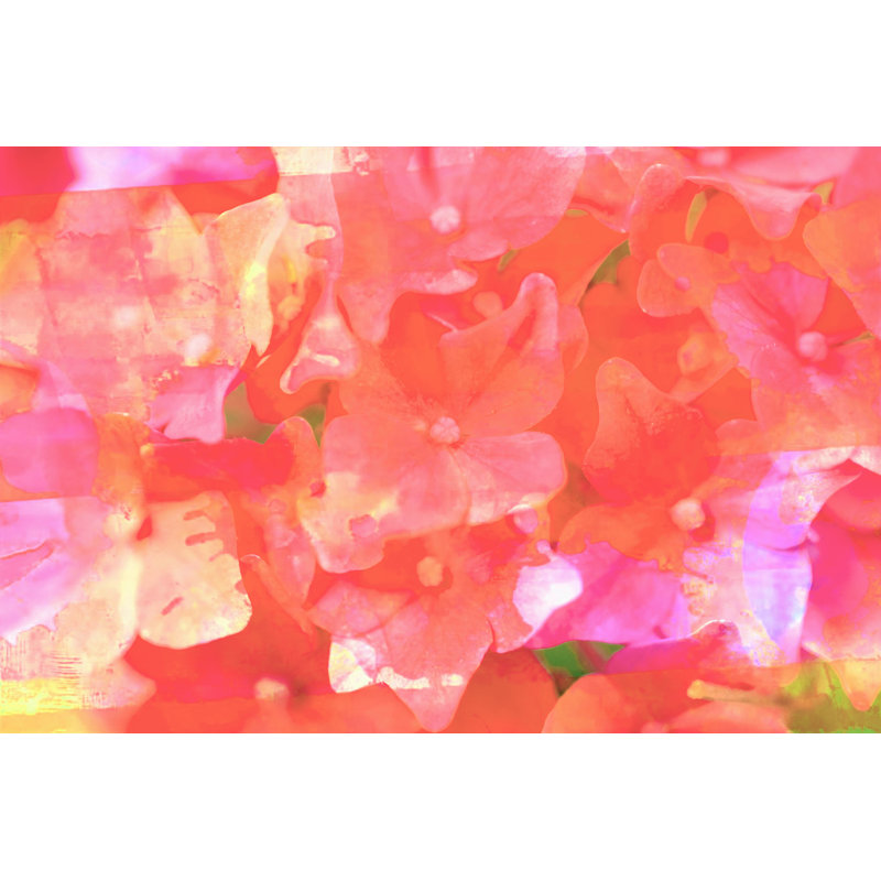 Joyful Summer I by Eva Bane - Painting, 81cm H x 122cm W, Black Floater Framed