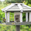 Wood Freestanding Tray Bird Feeder