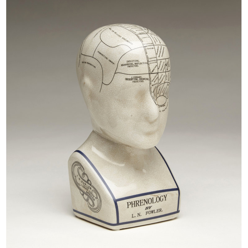 Crackle Phrenology Bust, 9.5" H x 4.5" W x 5" D