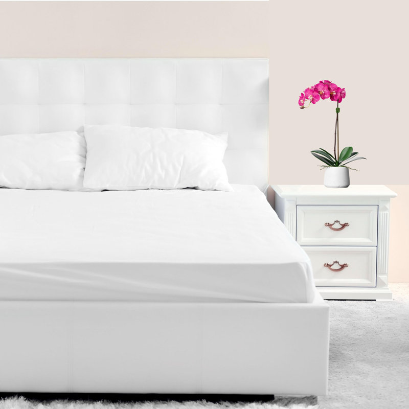 Orchid Floral Arrangements in Planter, White