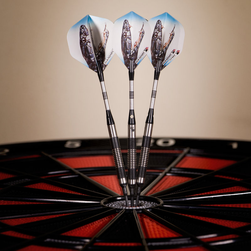 Ensemble de fléchettes 10 pièces mamba tungstène, 14 grammes