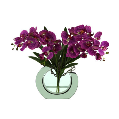 Transitional Isle Orchid Floral Arrangement