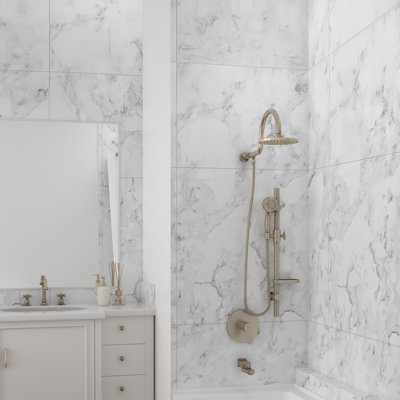 AquaRain Shower System