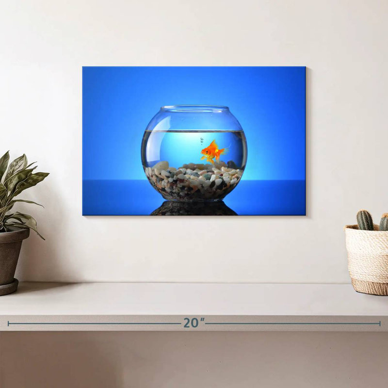Poisson rouge pour animaux de compagnie, H 8 po x l 12 po