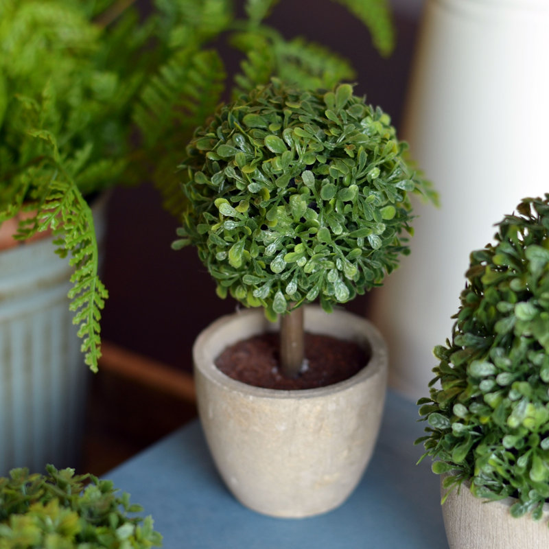 5.5'' Faux Boxwood Topiary in Pot