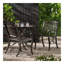 chaise avec accoudoirs Phoenix (ensemble de 2)