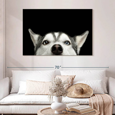 Peeking Siberian Husky
