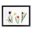 Colourful Tulip Flowers - Picture Frame Painting Print-56708810-56708811