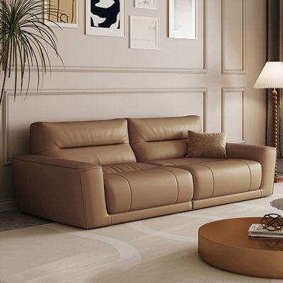 Coffee Genuine Leather Standard Sofa cushion Loveseat