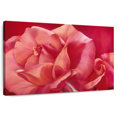 Harnek Shining Pink Rose