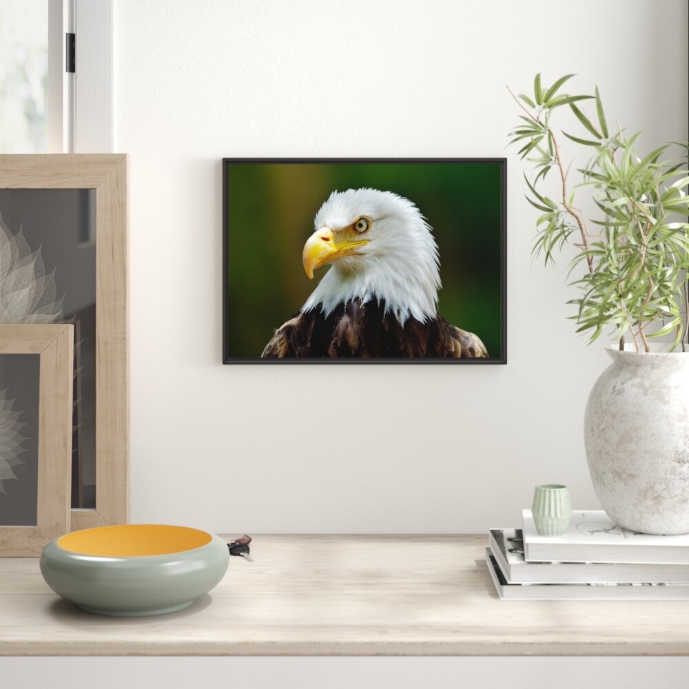 Gerahmtes Wandbild Mächtiger Weißkopfseeadler