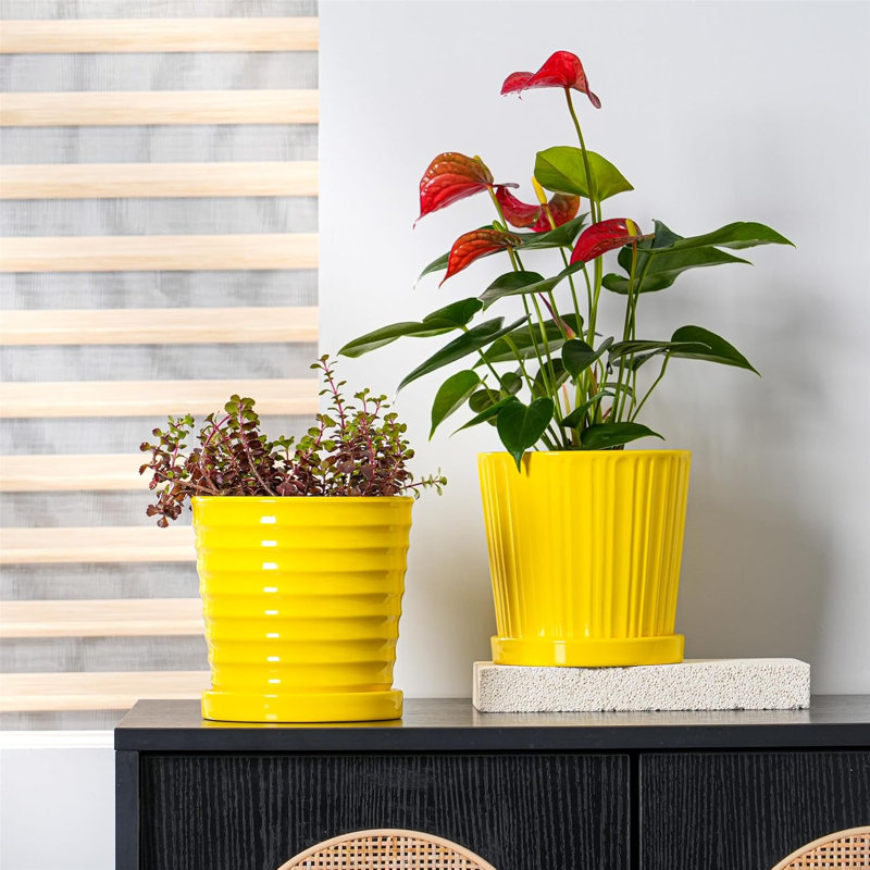 Lot de 4 pots de fleurs en céramique jaunes de 15 cm (6 pouces) avec trous de drainage et soucoupe, pour plantes d'intérieur et d'extérieur.