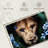 Tropical Lioness-938451292