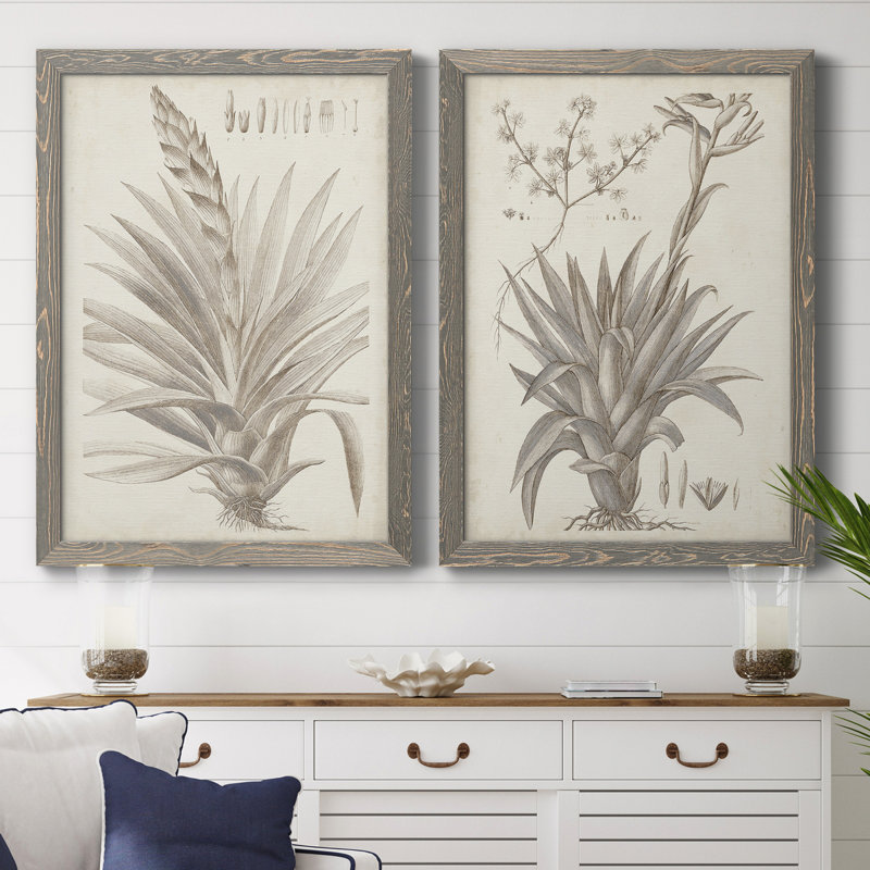 Sépia plantes exotiques III - ensemble de 2 reproductions de dessins encadrés, Toile avec cadre gris