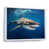 White Floater Framed