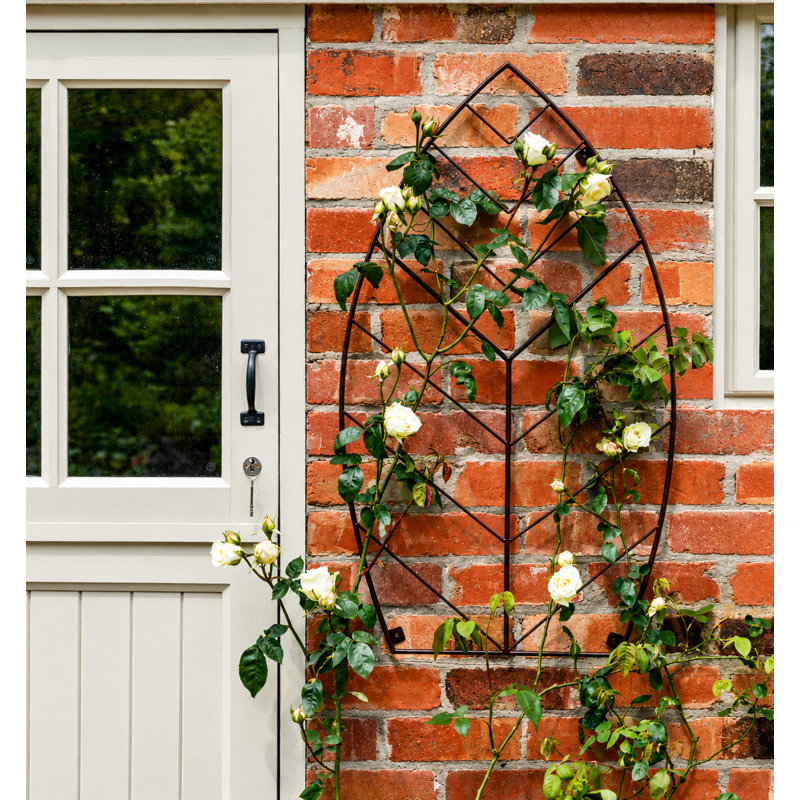 Outdoor Leaf Trellis