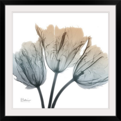 "Manigault" Earthy Tulips par Kiranjit, reproduction de photo