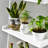 Luz Ladder Bookcase-32265870