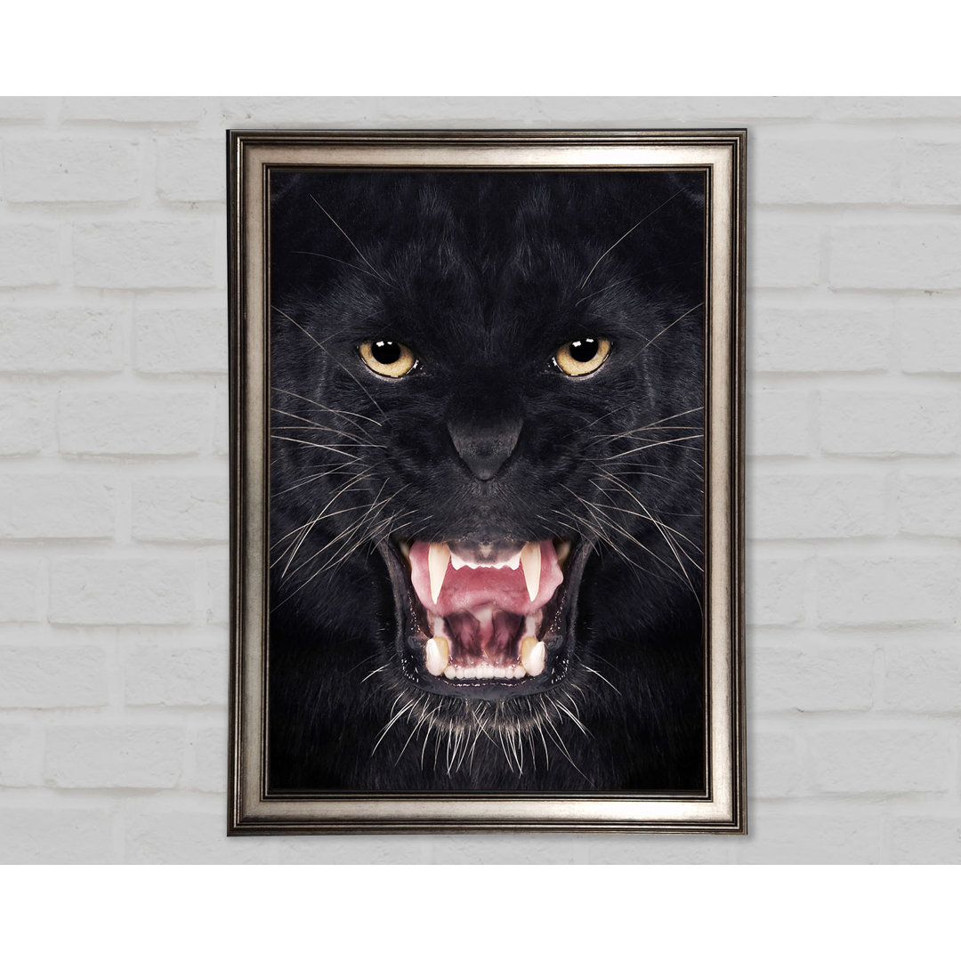 Panther Roar - Druck