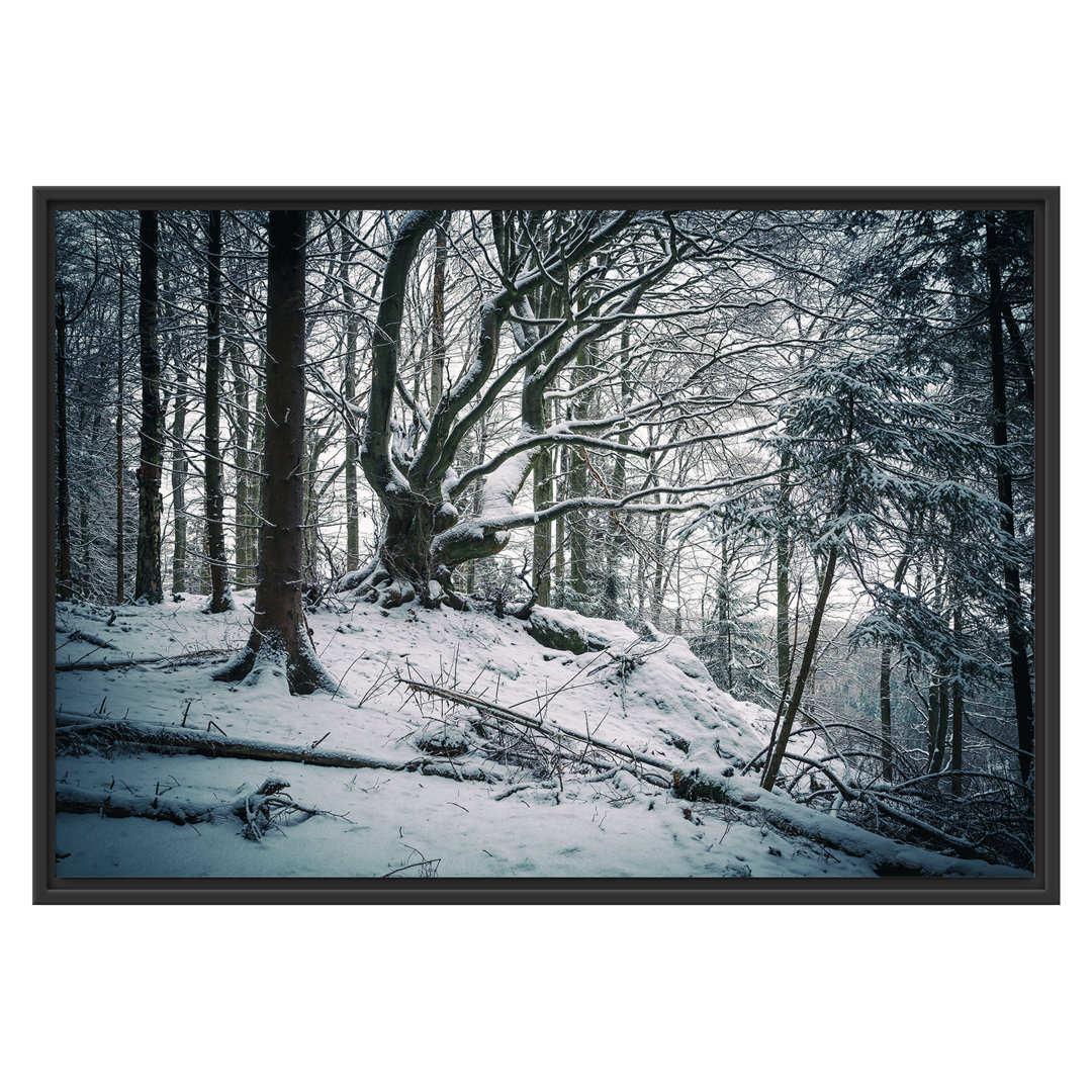 Schneebedeckter Wald Gerahmter Fotodruck