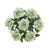 Sage Green n'est pas disponible